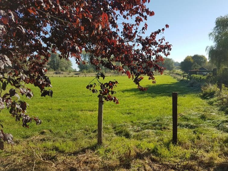 De Goeferdij Vakantiewoning Geraardsbergen Exterior foto